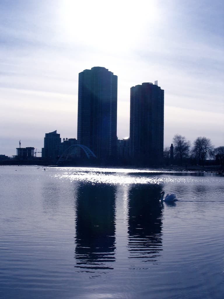 Ein Gebäude mit einem Grill auf dem Dach, ein Schwan im Wasser und Bäume unter einem bewölkten Himmel.