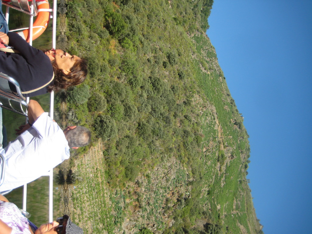 Ein schräges Bild eines großen Berges mit einem Fluss davor, einem Boot, das auf dem Fluss segelt, und Touristen, die die Aussicht vom Boot genießen.