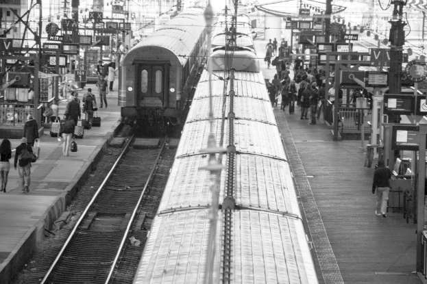 Ein überfüllter Bahnsteig mit mehreren Zügen auf den Gleisen und vielen Menschen, die darauf warten.