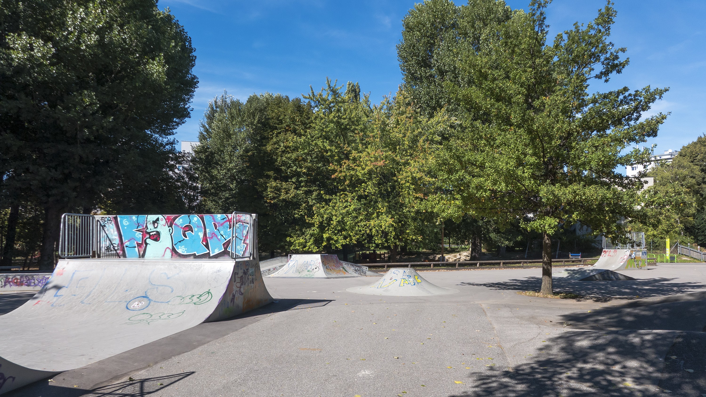Skateranlage mit Rampen voller Graffiti, umgeben von Bäumen und Gebäuden unter einem bewölkten Himmel.