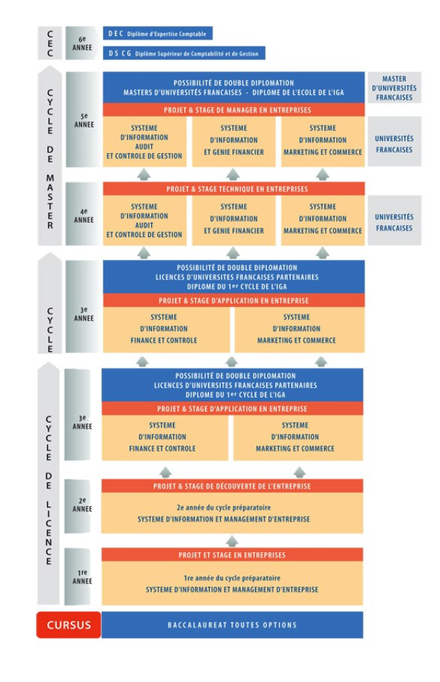 Diagramm, das die organisatorische Struktur eines Unternehmens mit interconnected boxes darstellt, die die Stufen der Unternehmensentwicklung und -wachstum darstellen, begleitet von beschreibendem Text.