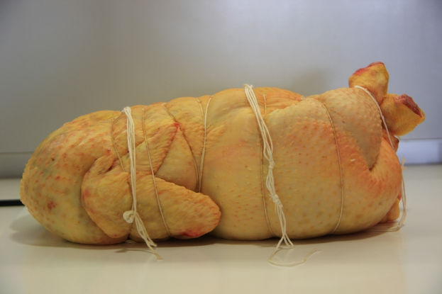 Fleischstücke, die mit Fäden zusammengebunden sind, vor einem weißen Hintergrund.