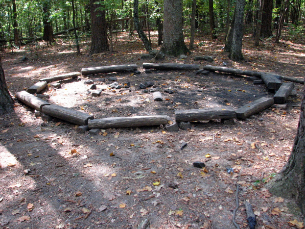 Ein Waldboden mit umgestürzten Ästen und Bäumen im Hintergrund.