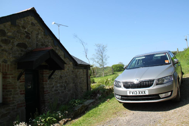 Rechts ein Auto neben Pflanzen, einer Stromsäule, Gras und Erde. Links Pflanzen, Blumen, Bäume, ein Zaun, ein Haus und eine Säule unter einem sonnigen Himmel.