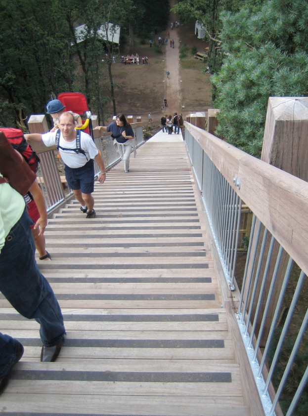 Eine Gruppe von Menschen versammelt sich unter dem Sternenhimmel mit Zelten, Bänken und Bäumen im Hintergrund.