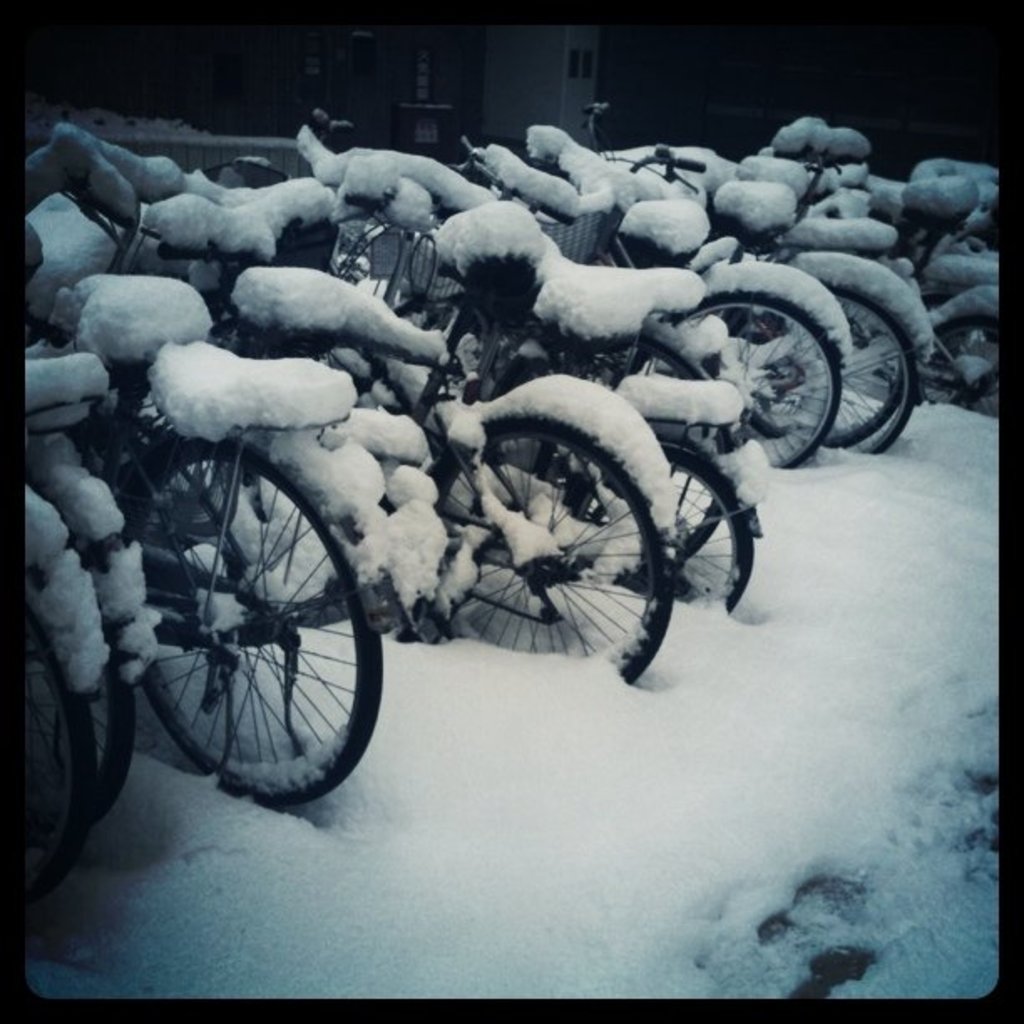 Mehrere Fahrräder stehen auf einem schneebedeckten Boden
