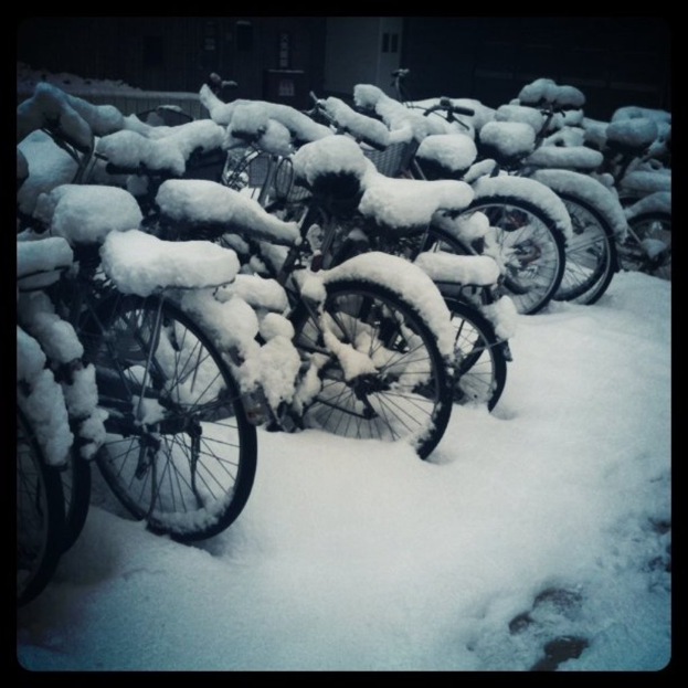 Mehrere Fahrräder stehen auf einem schneebedeckten Boden