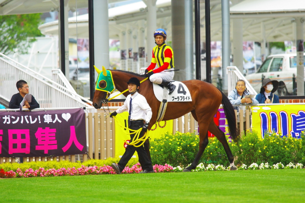 Ein Mann in einem Helm sitzt auf einem Pferd neben einem Zaun mit Schildern, während eine Person daneben geht; Farmfahrzeuge sind auf der Straße im Hintergrund zu sehen, mit Bäumen und blühenden Pflanzen.