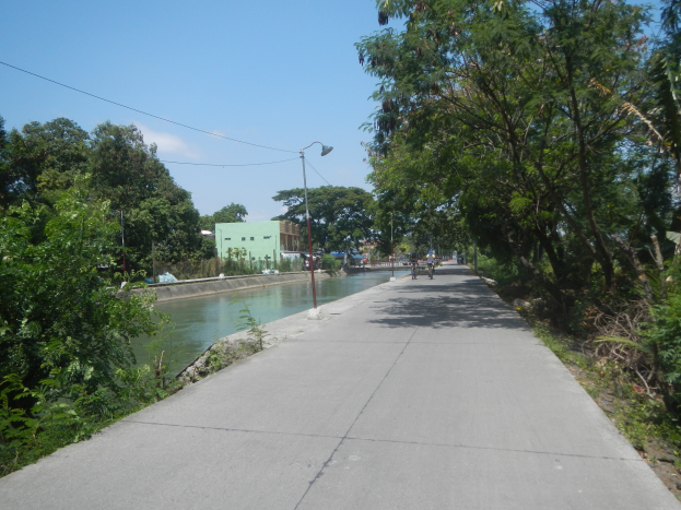 Eine Straße verläuft parallel zu einem Fluss, beide gesäumt von Bäumen, mit Radfahrern auf der Straße und Gebäuden, Strommasten und einem klaren Himmel im Hintergrund.