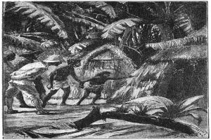 Eine Schwarz-Weiß-Illustration einer Gruppe von Menschen in traditioneller Kleidung, die in einem Kreis in einem Dschungel stehen, mit hohen, üppigen Bäumen, kleinen rustikalen Hütten und einem tiefblauen Himmel mit vereinzelten weißen Wolken im Hintergrund; Text unten lautet 'Die Geschichte des Dschungels'.