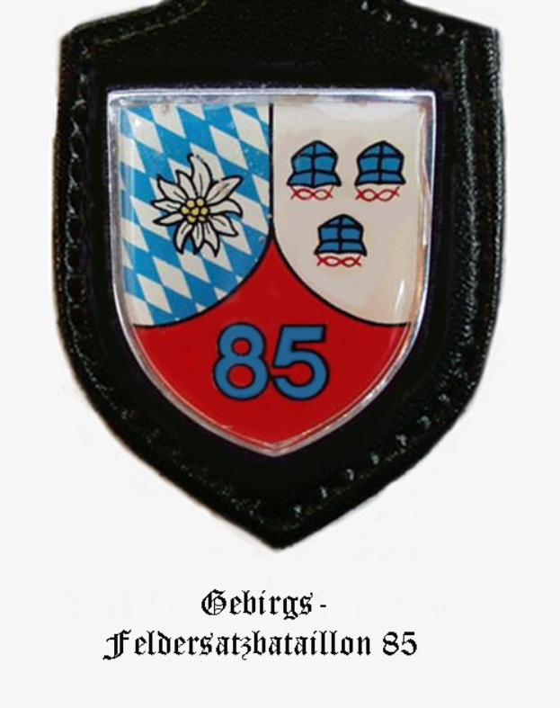 Ein Abzeichen mit der Nummer 85, dem Logo der bayerischen Fußballmannschaft und deutschem Text unten.