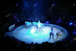 Eine Gruppe von Menschen reitet auf einer Bühne, beleuchtet von Scheinwerfern, während das Publikum von Sitzen aus zusieht.