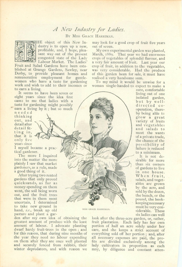 Offenes Buch mit einer Illustration eines Frauenkopfs, umgeben von Blättern und Früchten, mit dem Text "Eine neue Branche für Damen"