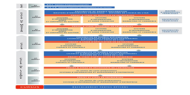Diagramm, das die organisatorische Struktur eines Unternehmens mit interconnected boxes darstellt, die die Stufen des geschäftlichen Wachstums und der Entwicklung darstellen, begleitet von Text, der die Rollen und Verantwortlichkeiten beschreibt.