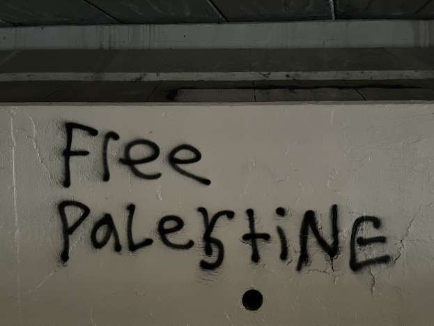 Schwarze Graffiti-Schriftzug "free palestine" an einer Wand, beleuchtet von einem Licht oben.