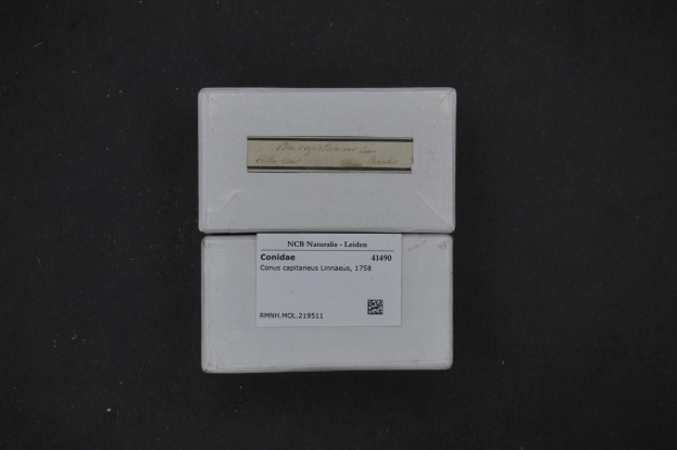 Weißer Karton mit Etikett, das Text und einen Barcode enthält, auf schwarzer Oberfläche