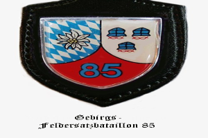 Wehen Wiesbaden spielt erneut im DFB-Pokal
