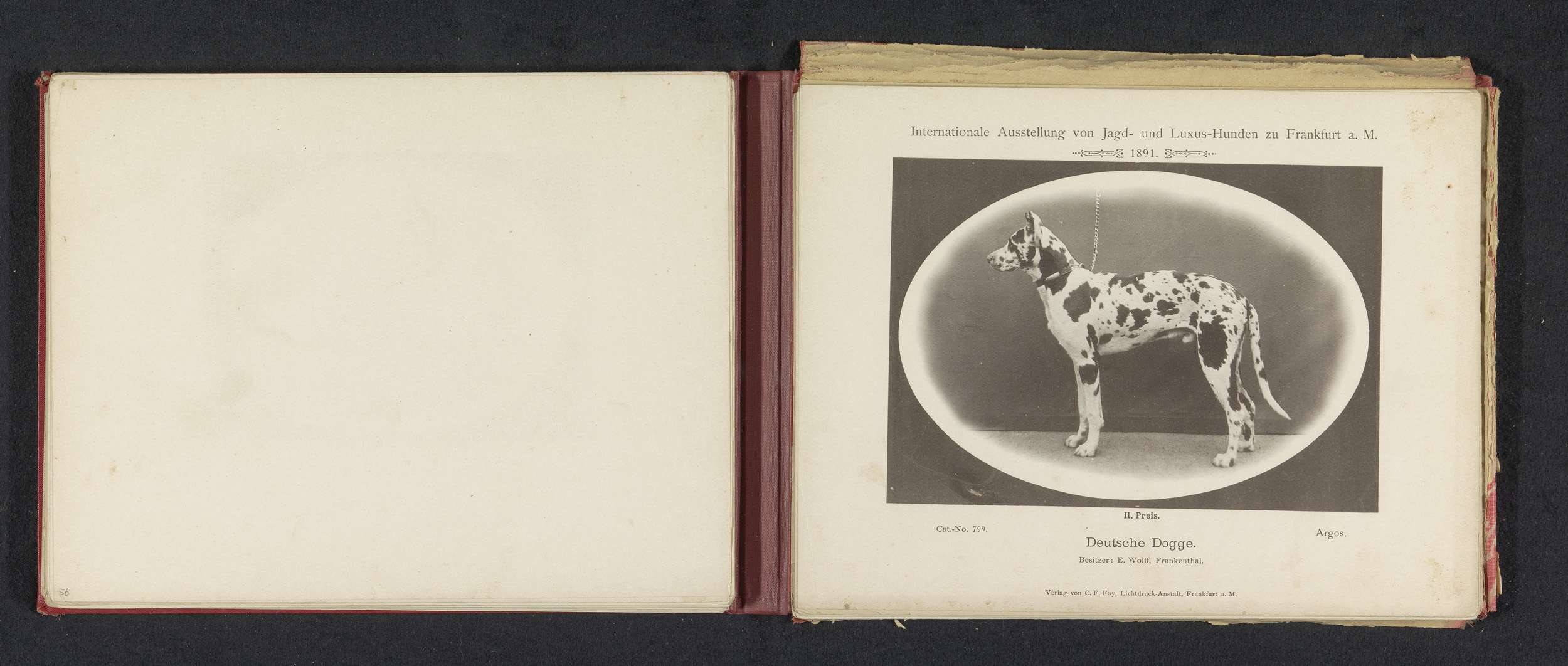 Offenes Buch mit der Aufschrift "Internationale Ausstellung von Jagd- und Luxushunden zu Frankfurt a.M." zeigt ein Schwarz-Weiß-Foto eines Hundes und begleitenden Text.