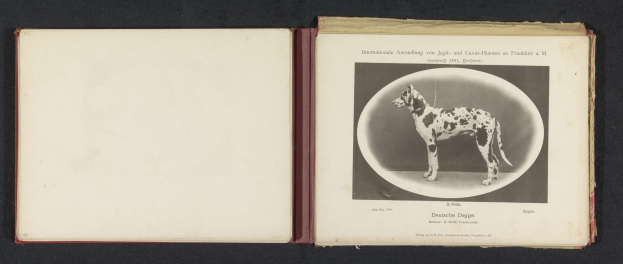 Offenes Buch mit der Aufschrift "Internationale Ausstellung von Jagd- und Luxushunden zu Frankfurt a.M." zeigt ein Schwarz-Weiß-Foto eines Hundes und begleitenden Text.