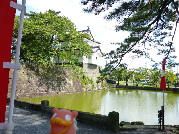 Ein von Bäumen umgebener See mit Autos, Häusern und anderen Gebäuden im Hintergrund.