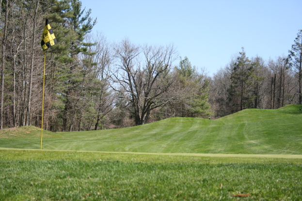 Grüne Wiese mit einer Flagge auf einem Mast links, Bäumen und Himmel im Hintergrund.