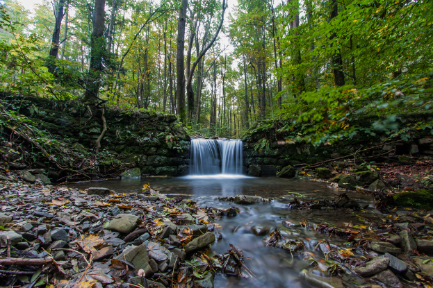 Eine Landschaft mit fließendem Wasser, Bäumen, Steinen und trockenen Blättern auf dem Boden.