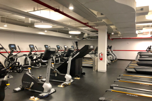 Ein Fitnessstudio-Innenraum mit einer Reihe von Laufbändern und Ellipsentrainern, einer Säule, einem Feuerlöscher an der Wand und Deckenleuchten, Located in a New York City fitness center.