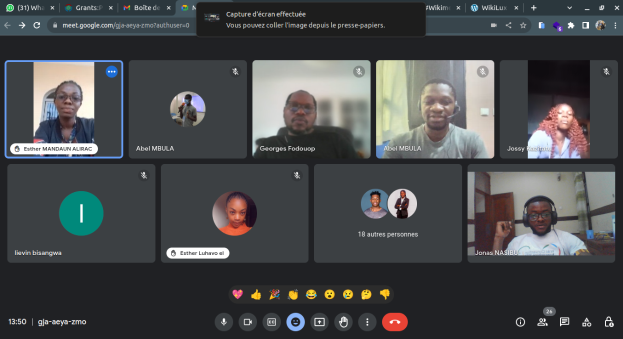 Ein Screenshot eines Videoanrufs auf einem Computermonitor zeigt eine Gruppe von Menschen in einer lebhaften Diskussion.