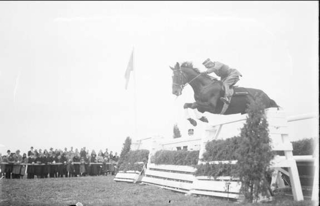 Schwarzes und weißes Foto eines Pferdes und Reiters, der über ein Hindernis springt bei den Royal Ascot Horse Trials 1953, mit Zuschauern, einer Fahne und Gras im Hintergrund.