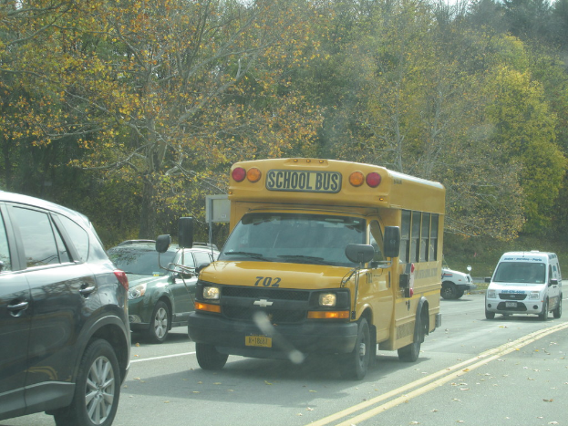 Ein gelber Schulbus, ein Van und ein Auto sind auf einer Straße mit Bäumen im Hintergrund zu sehen.